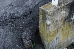 IMG_20200209_232034_554