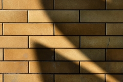 IMG_20200410_121219_399