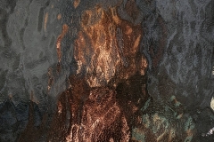 IMG_20200407_114532_516